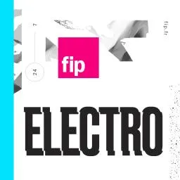 fipelectro